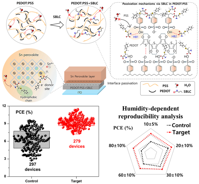 에너지시스템공학부 강동원 교수 연구팀, 페로브스카이트 태양전지의 불안정성 극복 기술 개발