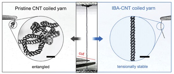 HYU Research Team Develops Multifunctional Carbon Nanotube Artificial Muscle with Static and Dynamic Twist-Stability