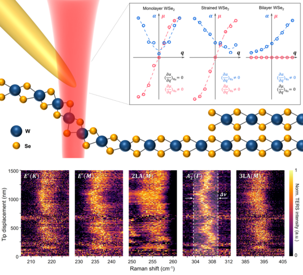HYU Research Team Discovers New Vibration Mode for Strain Detection in Wrinkled 2D Semiconductors