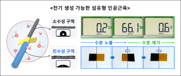 최창순 교수팀, 습도로부터 전기 생성 가능한 섬유형 인공근육 개발... 지속가능한 물 에너지 변환 기술로 주목