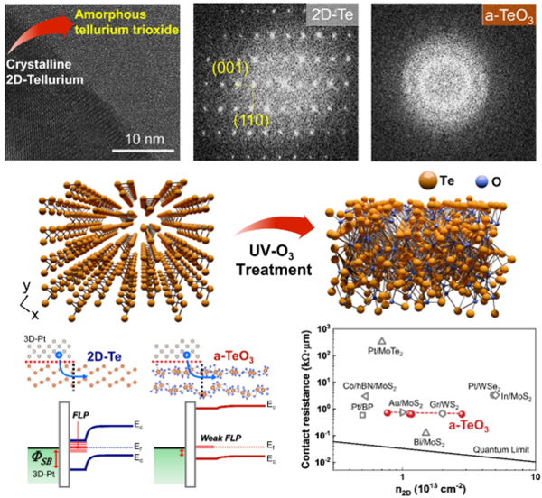 HYU–Ewha Womans University Joint Research Team Develops World’s First Amorphous Tellurium Trioxide
