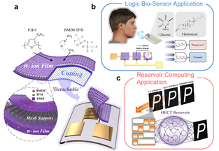 HYU Research Team Develops World’s First Detachable and Reusable Organic Electrolyte Transistor