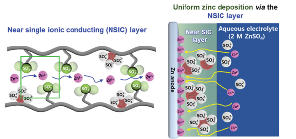 HYU and KENTECH Research Team Develop Polymer Protective Layer Technology to Accelerate Commercialization of Aqueous Zinc-Ion Batteries