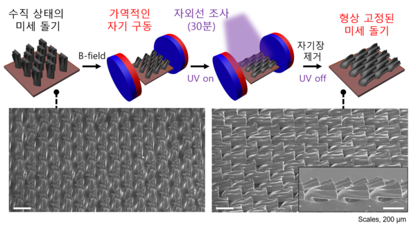 한양대·부산대·동의대 공동연구팀, 3차원 인공 상어비늘 구현한 다중 감응 스마트 소재 개발