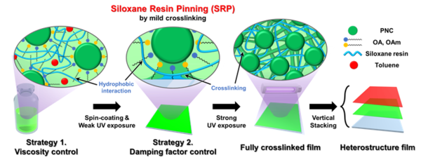 HYU·KAIST Joint Research Team Develops ‘Perovskite Color Conversion Layer Pattern’ with Long-Term Underwater Stability