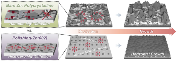 HYU-KNU Research Team Develops Dendrite Suppression Technology for Anode-Free Metal Batteries