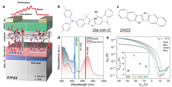 'Floating Gate Based Optical Wavelength-Distinguishing Synapse Device,' Anticipated Applications in Optical Imaging and Next-Generation Neuromorphic Fields