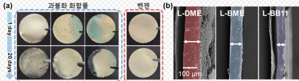 ‘Corrosion-Resistant Electrolyte’ to Extend Lithium Metal Battery Life