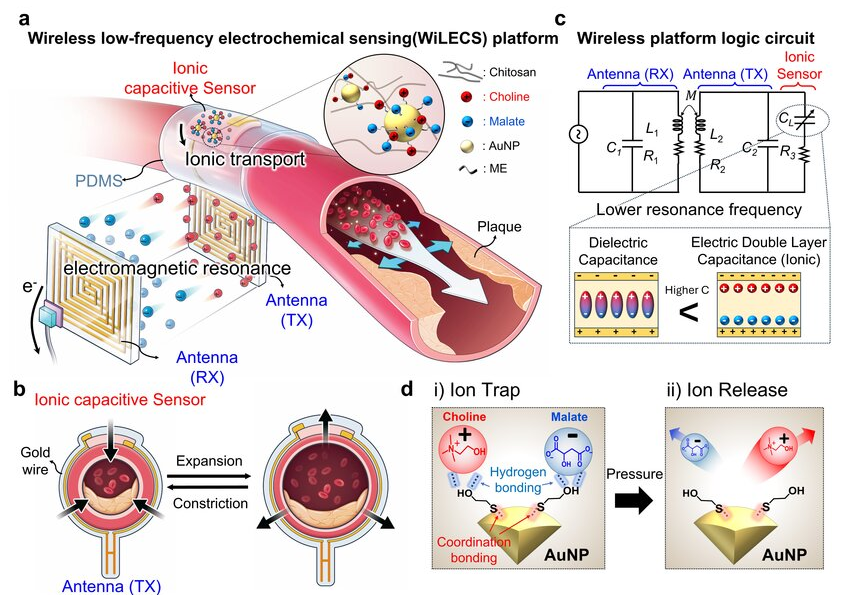 HYU Research Team Develops Next-Generation Low-Frequency, Wireless Bio-Sensing Platform