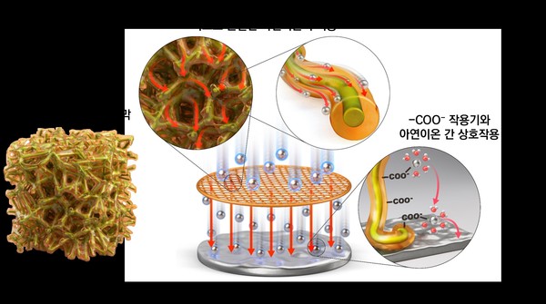HYU·KNU Joint Research Team Develops 'Separator' to Drastically Extend the Lifespan of Next-Gen Aqueous Zinc-Ion Batteries