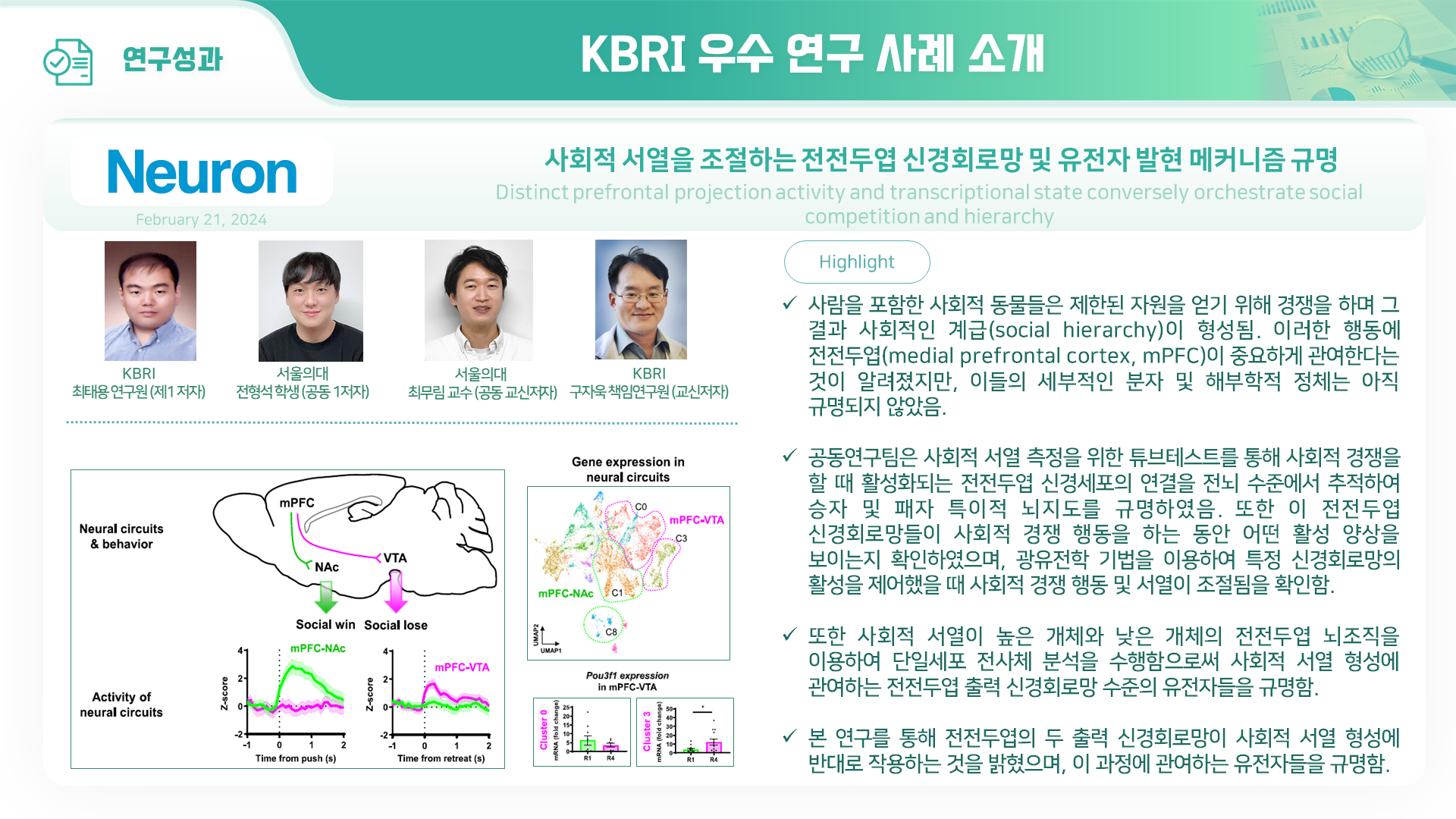 사회적 서열을 조절하는 전전두엽 신경회로망 및 유전자 발현 메커니즘 규명