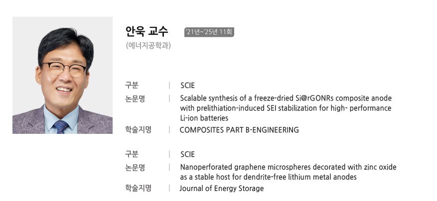 Scalable synthesis of a freeze-dried Si@rGONRs composite anode with prelithiation-induced SEI stabilization for high- performance Li-ion batteries